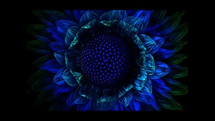 Trance Music -p--hypnotize