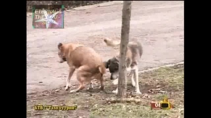Мен ли ще ме учите - Господари на ефира