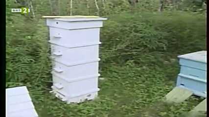 Насаме с пчелите - четвърта серия - Жилищата на пчелите (2001)