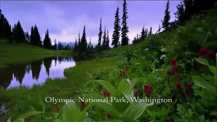 Era - Angel [nature Scenery Hd 1080p]