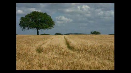 Belle Chanson - Fields Of Gold