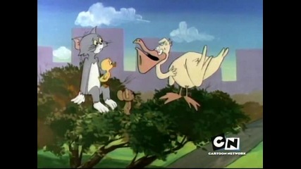 Tom And Jerry - 30 - The Lost Duckling