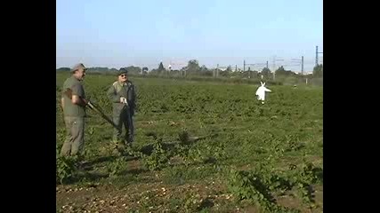 Реми - Заек