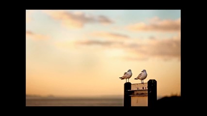 Sam Smith - Stay with Me (lyrics)