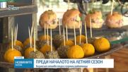 Преди началото на летния сезон: Бизнесът отново търси сезонни работници