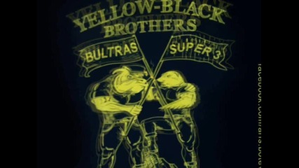 Black & Yellow hell Botev & Aris Ботев и Арис