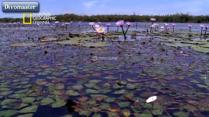 Нешънъл Джиографик