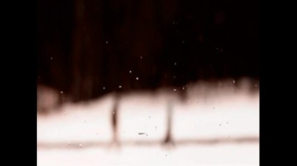 Ron van den Beuken - Shelter Us