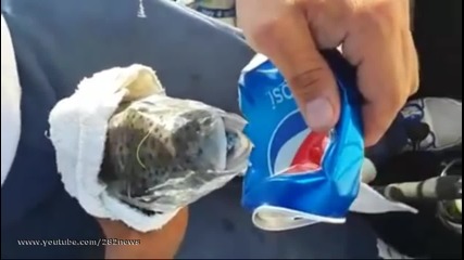 Риба с страховита захапка !