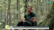 "Дотам и обратно": Неземната красота на Видимското пръскало в Централен Балкан
