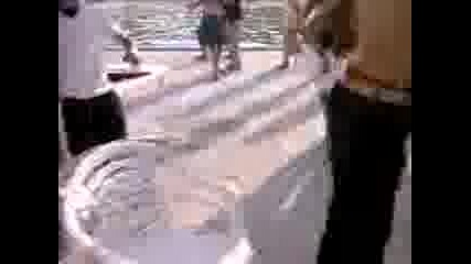 Страшен Кючек Около Басейна !!!