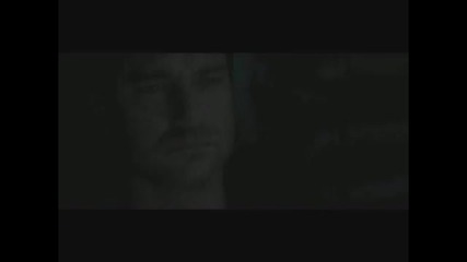 Danny Elfman The Little Things - music video