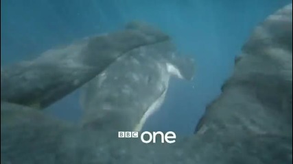 Planet Dinosaur - Launch Trailer - Bbc One