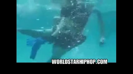 Един много палав делфин 