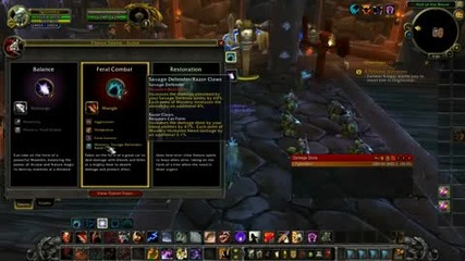 World of Warcraft - Feral Druid Dps! (level 85)