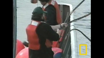 Много Силно Земетресение
