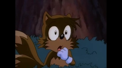 Sonic Satam 19 