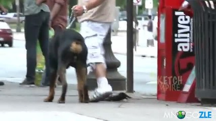 Скрита камера с паяк - Мн. смях!