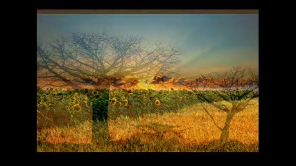 David London Memories Of You