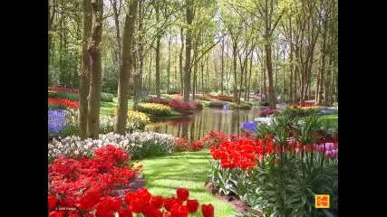 Earth day 2008