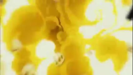 First Squad Amv (winner of Across Con)