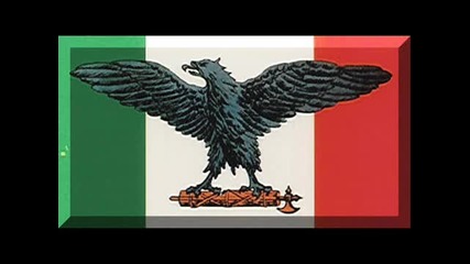 Insedia-er cammerata