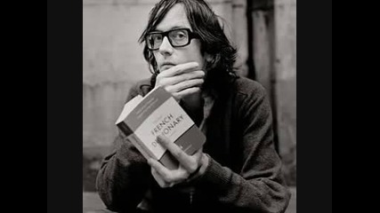 I Never Said I Was Deep - Jarvis Cocker