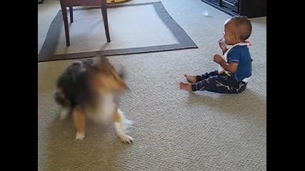 Куче и дете играят заедно по възхитителен начин! Най-сладкото клипче, което можете да видите!