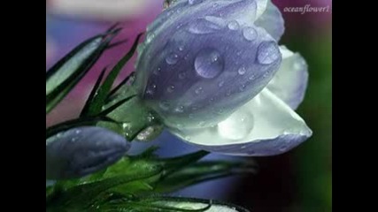 Omar Akram - Falling through the rain