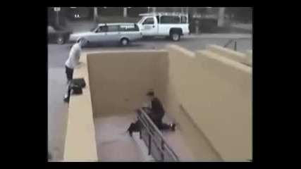 {lil slip} best of David Belle s videos 