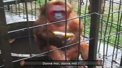 Много смях и забава - Le Zap de Spi0n n°133