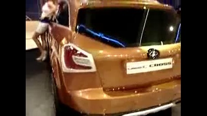 Lada C - Cross - - - Mims 2008