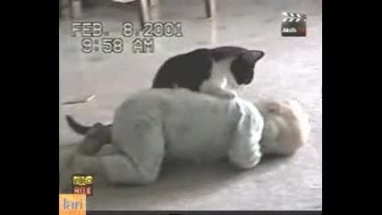 Борба между бебе и коте 