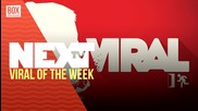 NEXTTV 018: Viral of the Week