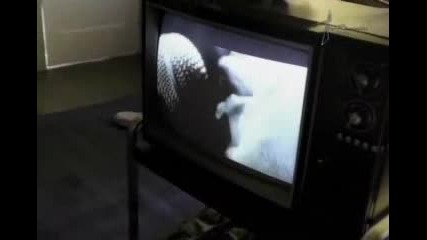 Green Day - Jesus of Suburbia