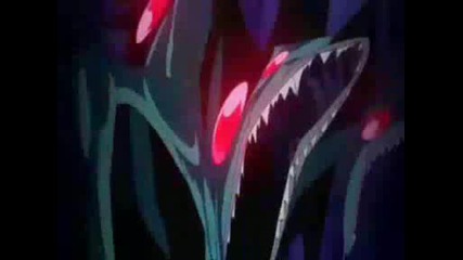 Rosario + Vampire Amv - Sexy Vampire