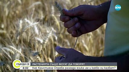 Езикът на растенията: Как Кристиана Оправа комуникира с флората