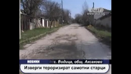 Цигани тероризират село Водица 
