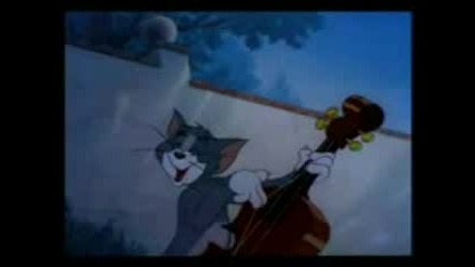 Tom And Jerry1.3gp