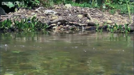 Бягащ По Вода