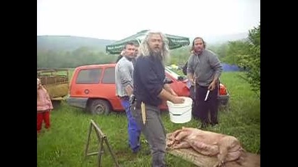 стршните рокери