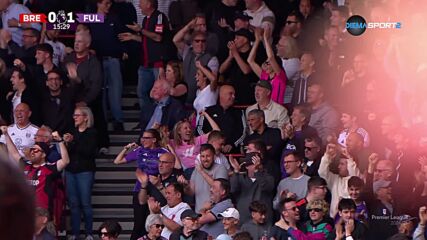 Goal by Fulham
