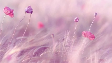 3 Hours Best Relaxing Music - Romantic Piano