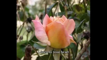Listen To Your Heart - Roxette