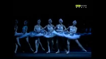 Tchaikovsky Swan Lake (bolshoi Ballet, 1989) 