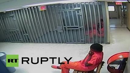 USA: Authorities release Sandra Bland footage to tackle rumours