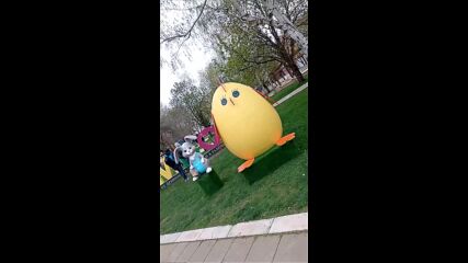 Vid_20230408_160043.mp4