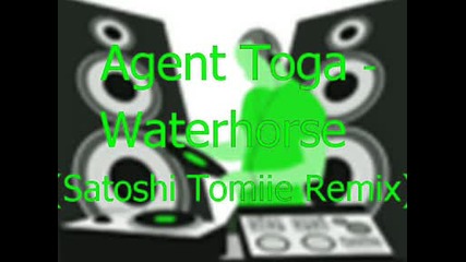 Agent Toga - Waterhouse (satoshi Tomiie Remix)
