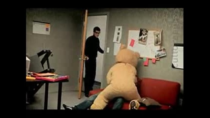 Bear 