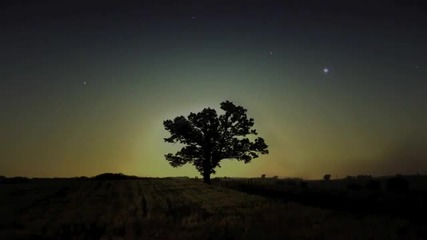 Phaeleh - Should Be True